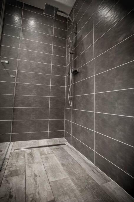 Apartment Vip 1 Loft Avec Privatif A 10 Min De Dijon Fauverney